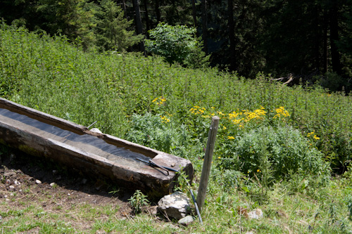 Heiterlahnalm - Niederleger